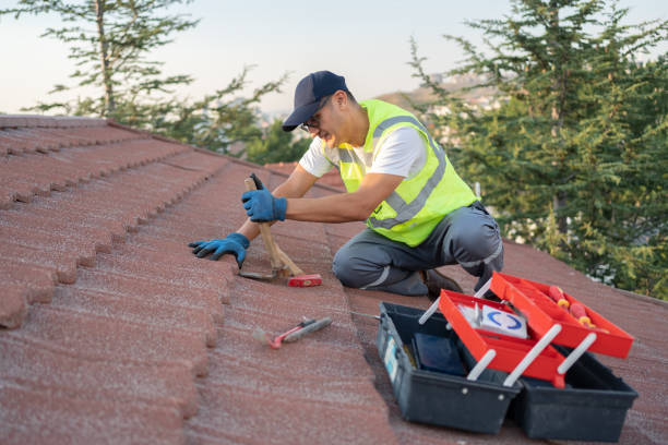Best Metal Roofing Contractor  in Hudson, NC